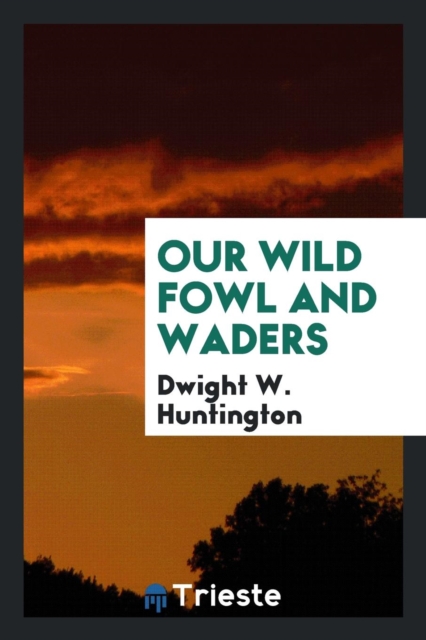 Our Wild Fowl and Waders, Paperback Book