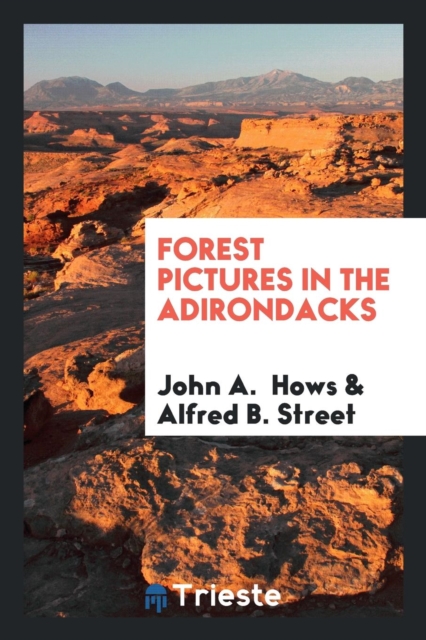 Forest Pictures in the Adirondacks, Paperback Book