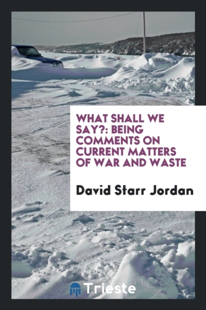 What Shall We Say? Being Comments on Current Matters of War and Waste, Paperback Book