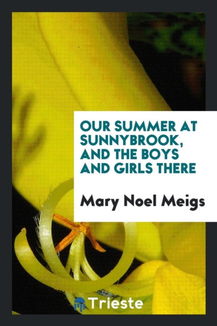 Our Summer at Sunnybrook, and the Boys and Girls There, Paperback Book