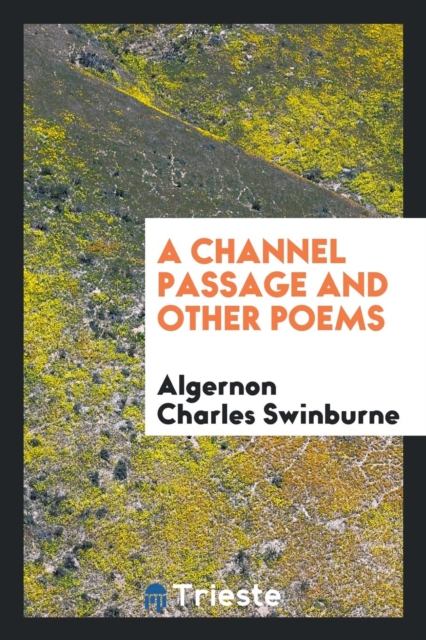 A Channel Passage and Other Poems, Paperback Book