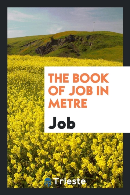 The Book of Job in Metre, Paperback Book