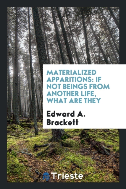 Materialized Apparitions : If Not Beings from Another Life, What Are They, Paperback Book