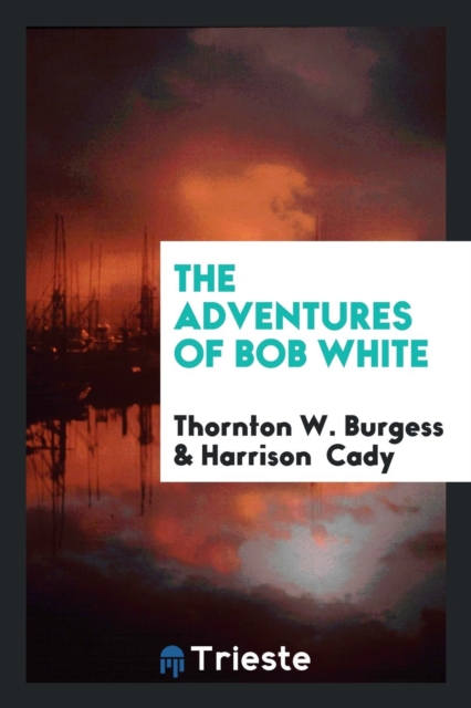 The Adventures of Bob White, Paperback Book