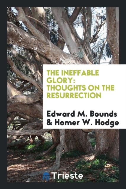 The Ineffable Glory : Thoughts on the Resurrection, Paperback Book
