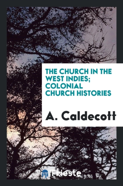 The Church in the West Indies; Colonial Church Histories, Paperback Book