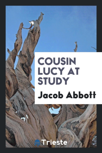 Cousin Lucy at Study, Paperback Book