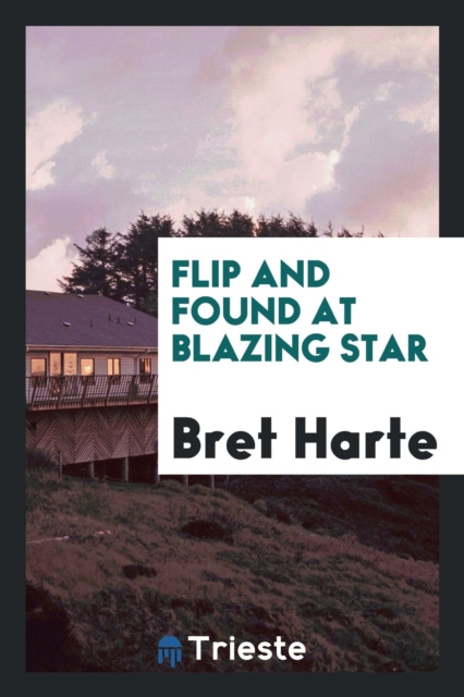 Flip and Found at Blazing Star, Paperback Book