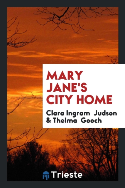Mary Jane's City Home, Paperback Book