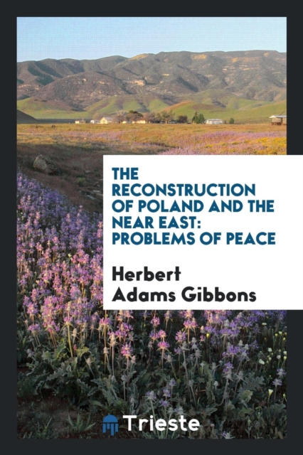 The Reconstruction of Poland and the Near East : Problems of Peace, Paperback Book