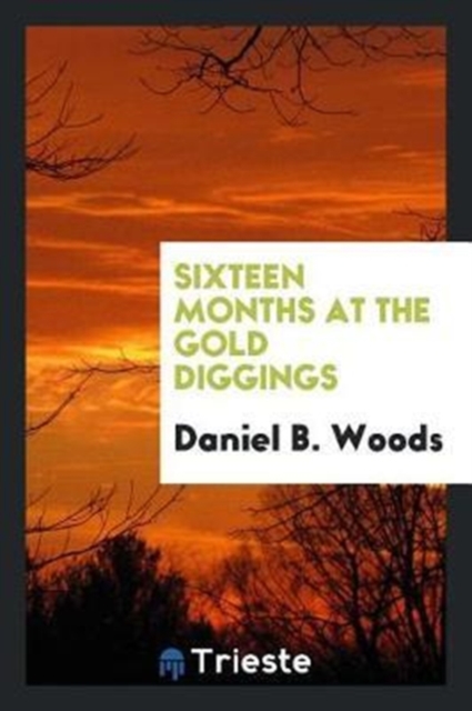 Sixteen Months at the Gold Diggings, Paperback Book