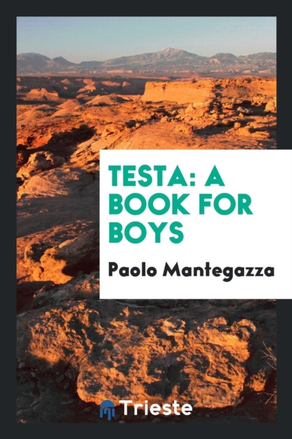 Testa : A Book for Boys, Paperback Book
