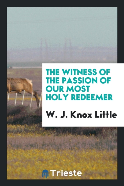 The Witness of the Passion of Our Most Holy Redeemer, Paperback Book