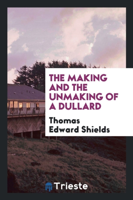 The Making and the Unmaking of a Dullard, Paperback Book