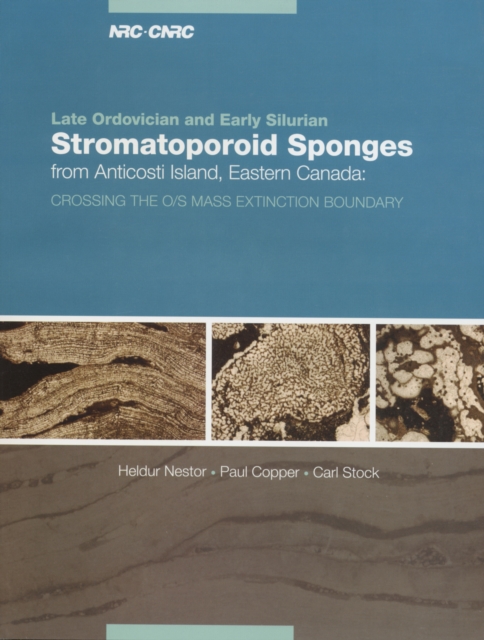 Late Ordovician and Early Silurian stromatoporoid sponges from Anticosti Island, eastern Canada, PDF eBook