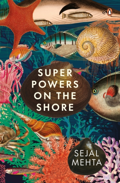 Superpowers on the Shore, Hardback Book