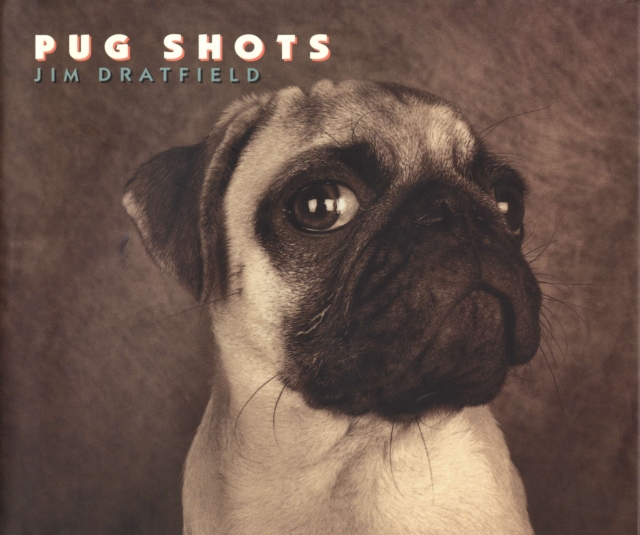 Pug Shots, Paperback / softback Book