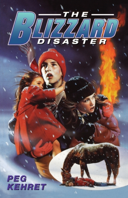 The Blizzard Disaster, Paperback / softback Book