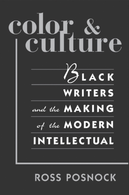 Color and Culture : Black Writers and the Making of the Modern Intellectual, Paperback / softback Book
