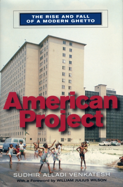 American Project : The Rise and Fall of a Modern Ghetto, Paperback / softback Book
