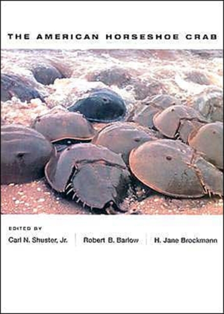 The American Horseshoe Crab, Hardback Book