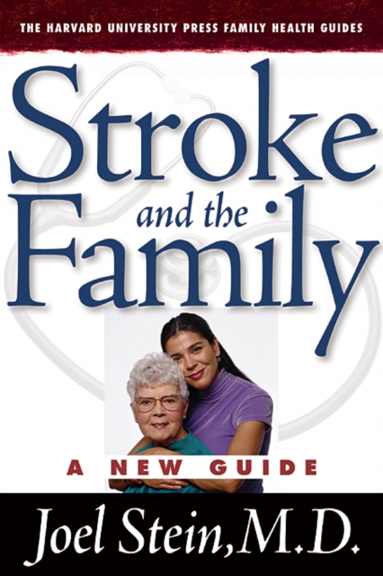 Stroke and the Family : A New Guide, Paperback / softback Book