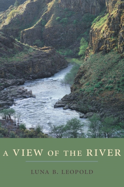 A View of the River, Paperback / softback Book