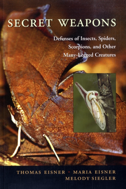 Secret Weapons : Defenses of Insects, Spiders, Scorpions, and Other Many-Legged Creatures, Paperback / softback Book