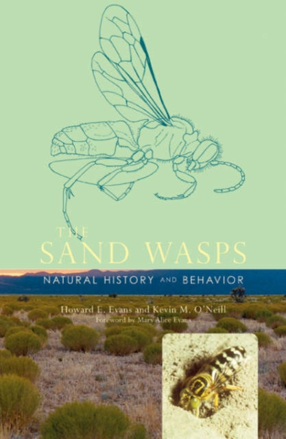 The Sand Wasps : Natural History and Behavior, Hardback Book
