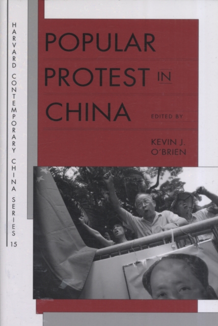 Popular Protest in China, Paperback / softback Book