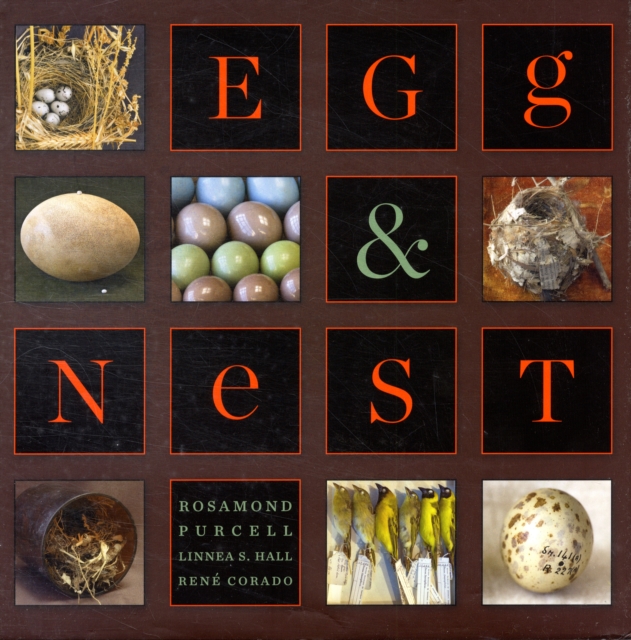 Egg & Nest, Hardback Book