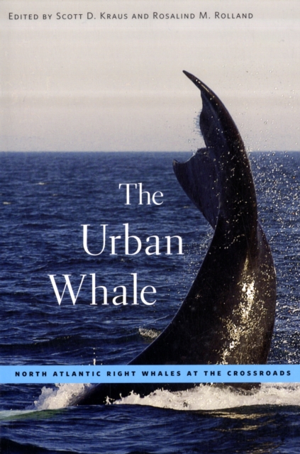 The Urban Whale : North Atlantic Right Whales at the Crossroads, Paperback / softback Book