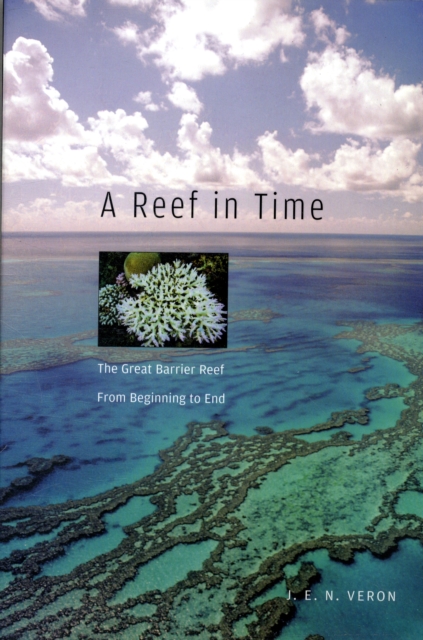 A Reef in Time : The Great Barrier Reef from Beginning to End, Paperback / softback Book