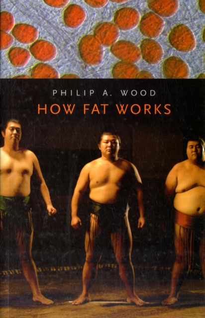 How Fat Works, Paperback / softback Book