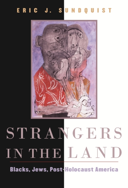 Strangers in the Land : Blacks, Jews, Post-Holocaust America, PDF eBook