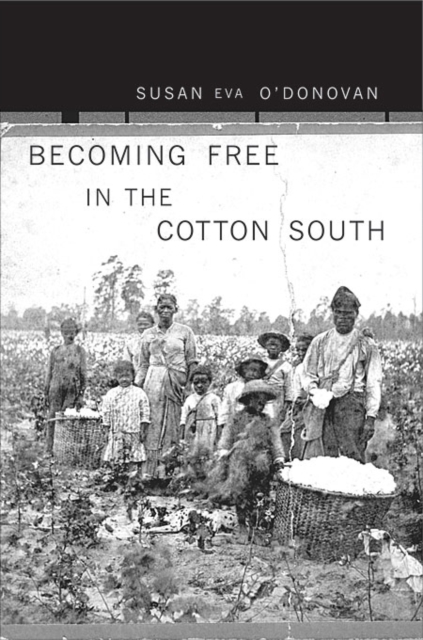 Becoming Free in the Cotton South, Paperback / softback Book