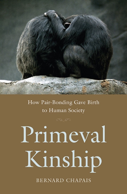 Primeval Kinship : How Pair-Bonding Gave Birth to Human Society, Paperback / softback Book