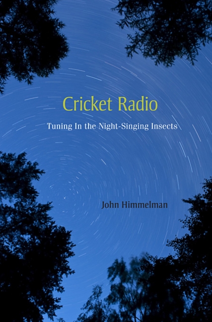Cricket Radio : Tuning In the Night-Singing Insects, Hardback Book