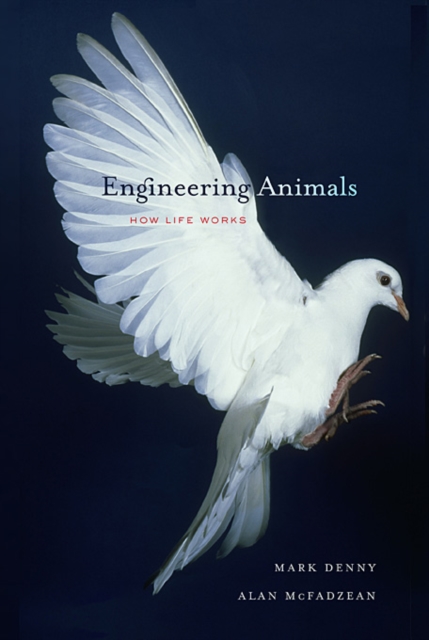 Engineering Animals : How Life Works, Hardback Book