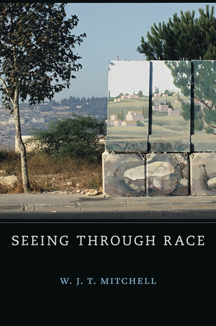 Seeing Through Race, Hardback Book