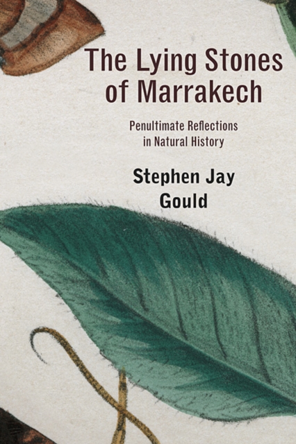 The Lying Stones of Marrakech : Penultimate Reflections in Natural History, Paperback Book