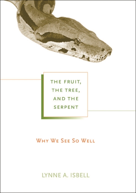 The Fruit, the Tree, and the Serpent : Why We See So Well, Paperback / softback Book