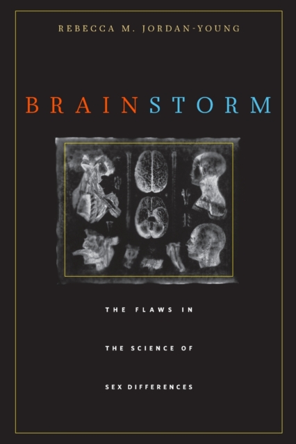 Brain Storm : The Flaws in the Science of Sex Differences, Paperback / softback Book