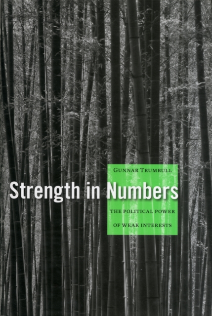 Strength in Numbers : The Political Power of Weak Interests, Hardback Book
