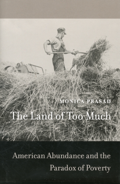 The Land of Too Much : American Abundance and the Paradox of Poverty, Hardback Book