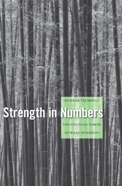 Strength in Numbers : The Political Power of Weak Interests, EPUB eBook