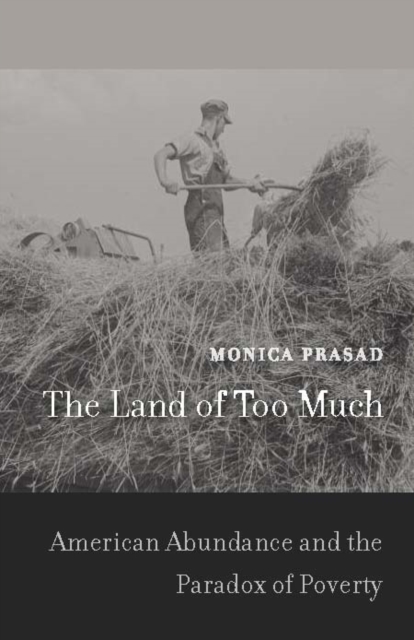 The Land of Too Much : American Abundance and the Paradox of Poverty, EPUB eBook