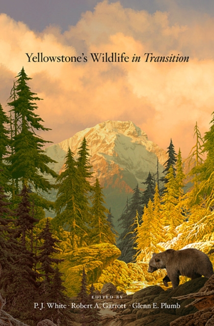 Yellowstone's Wildlife in Transition, Hardback Book