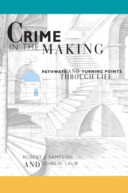 Crime in the Making : Pathways and Turning Points through Life, Paperback / softback Book
