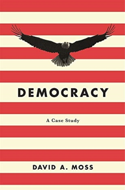 Democracy : A Case Study, Paperback / softback Book